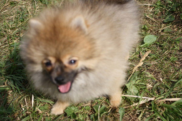 Ната Назарова