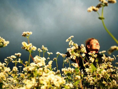 Анна Цебровская