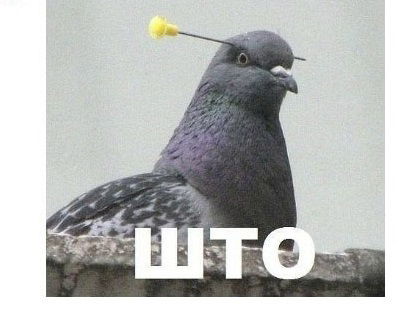 Керемжан Нагашбаев