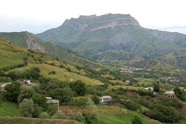 Алиасхаб Магомедов