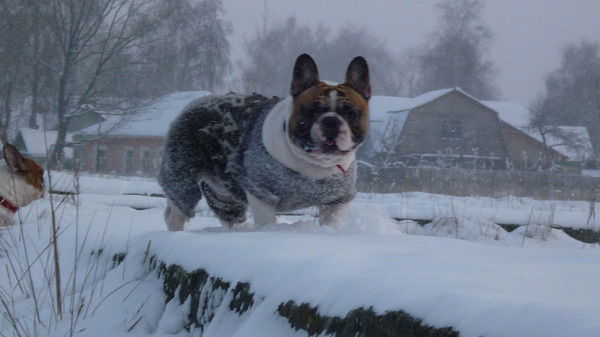 Татьяна Мурзакова