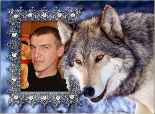 Александр Петрикин