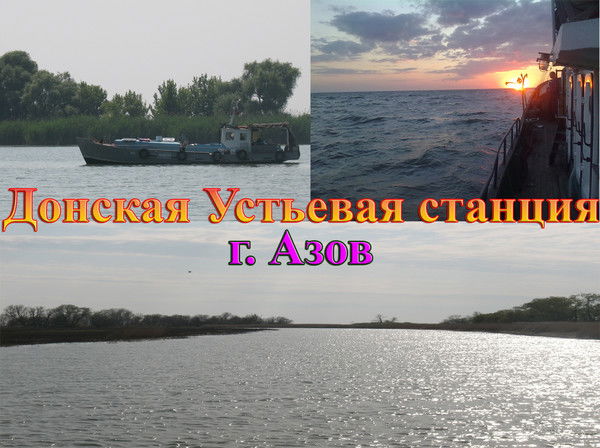 Донская Устьевая Станция
