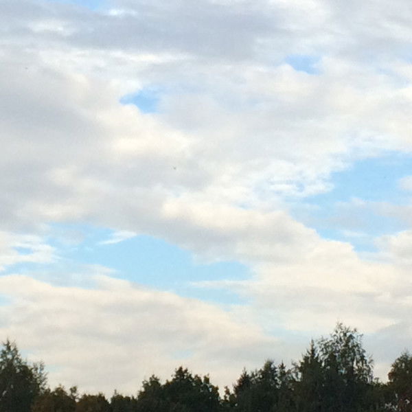 Лидия Фанина