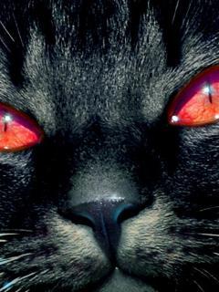 Дана Жанатаева