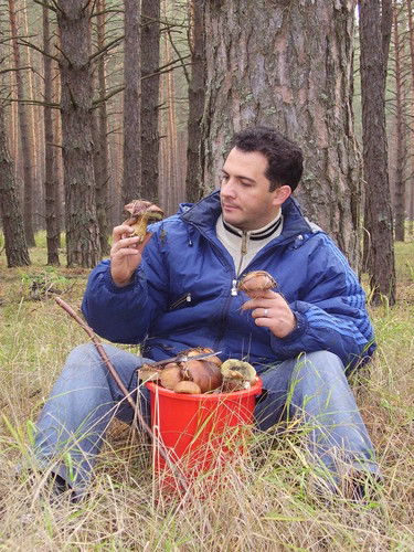 Роман Герцик