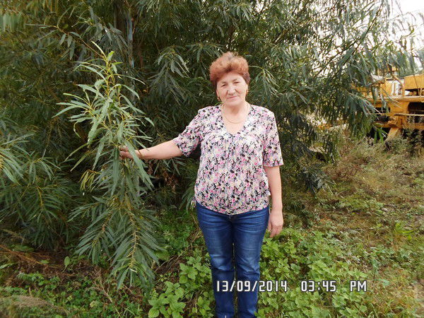 Гузаль Баишева