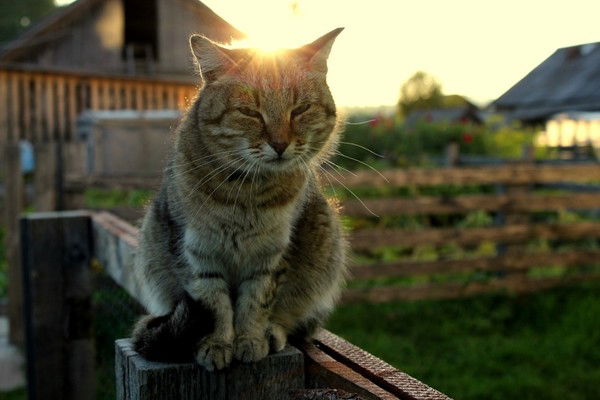 Андрей Жилицкий