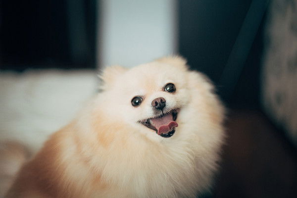 Лия Логинова