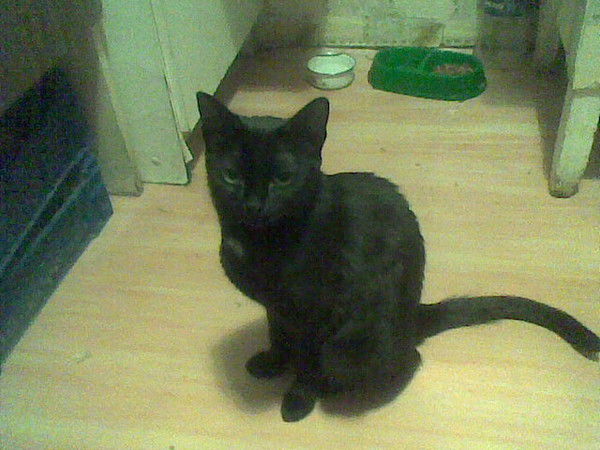 Виктория Усенко