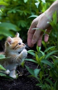 Яна Скоклюк