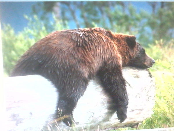 Марат Муратов