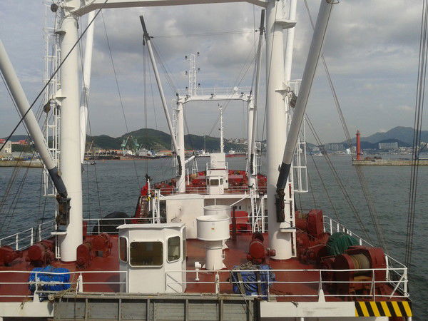 Владимир Целуйко