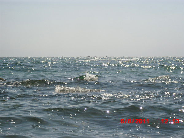 Алексей Прядко