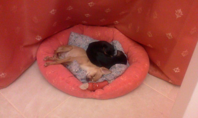 Веталик Бельский