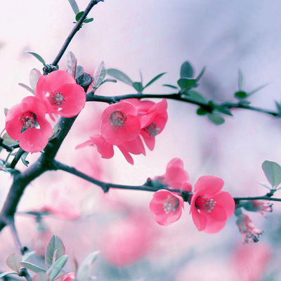 Оксана Темна