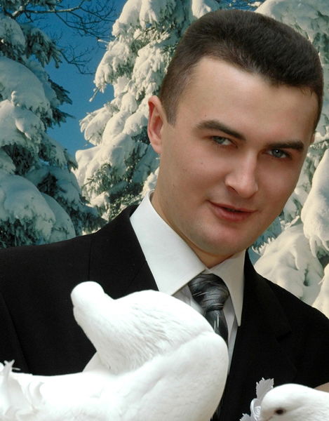 Владимир Косолапов