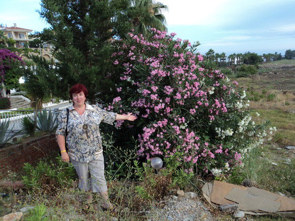 Светлана Гибатова