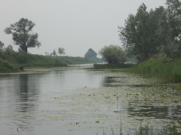 Евгений Африн