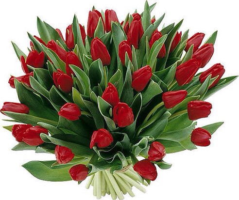 Любовь Турчина