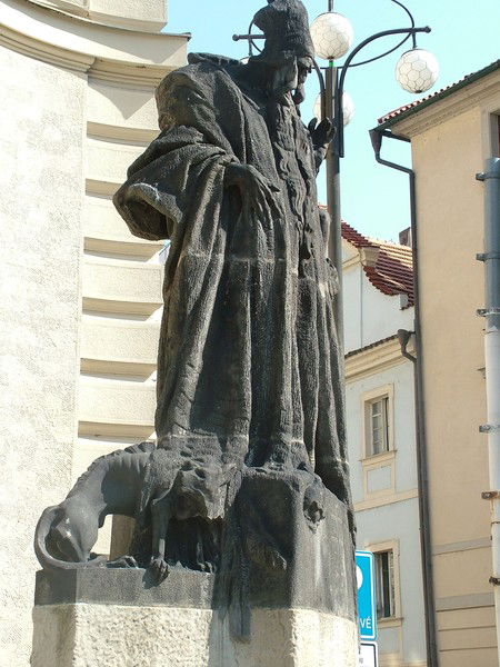 Лиана Тропическая