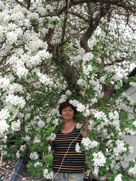 Людмила Волосевич