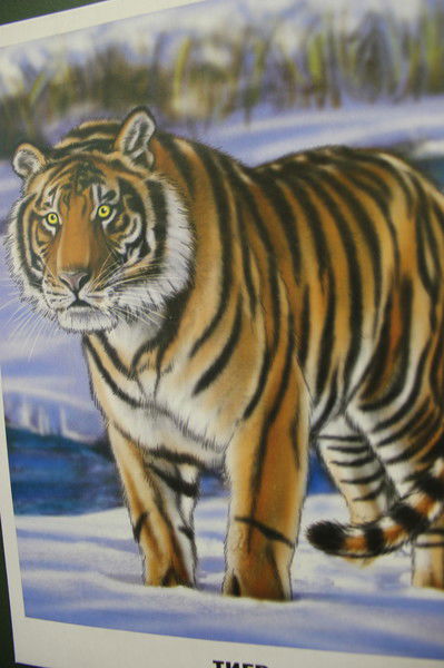 Алишер Кучаров