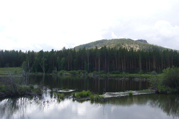 Максим Галиуллин