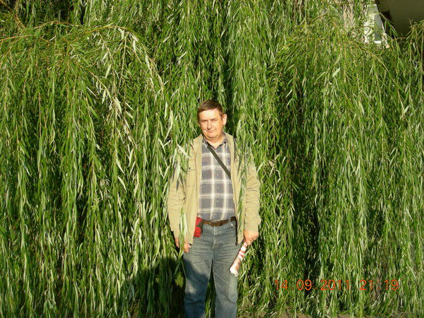 Сергей Галкин