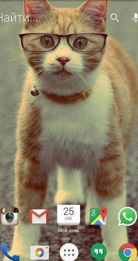 Виктория Подольская