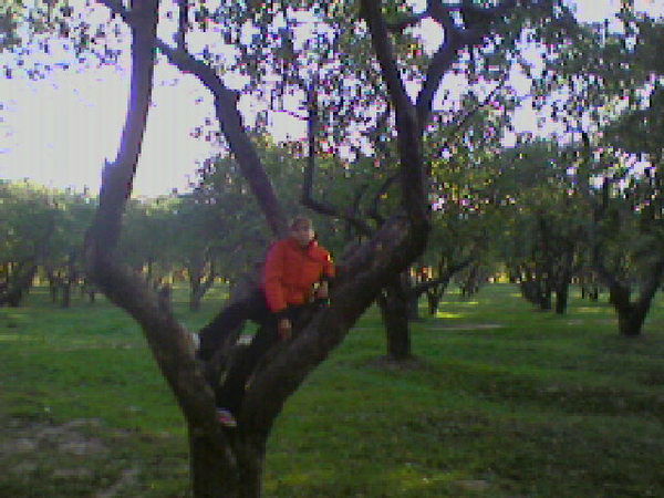 Екатерина Ануфриева