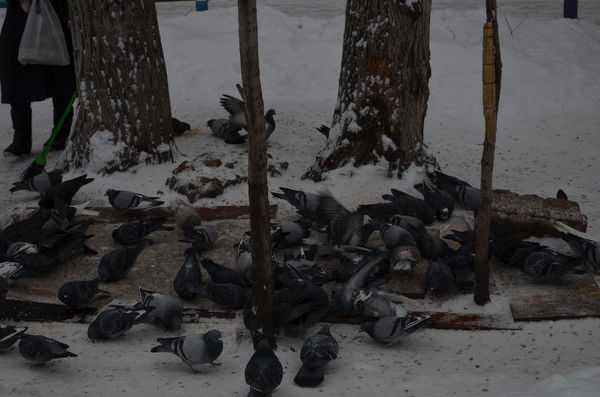 Люба Соловьева