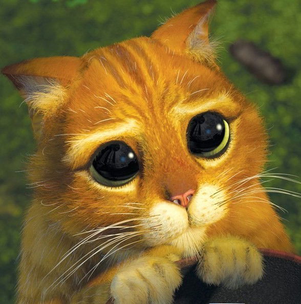 Татьяна Гужова