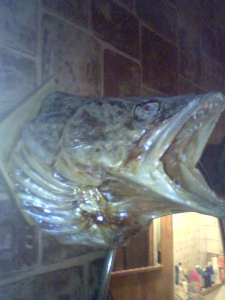 Виталий Тавитульян