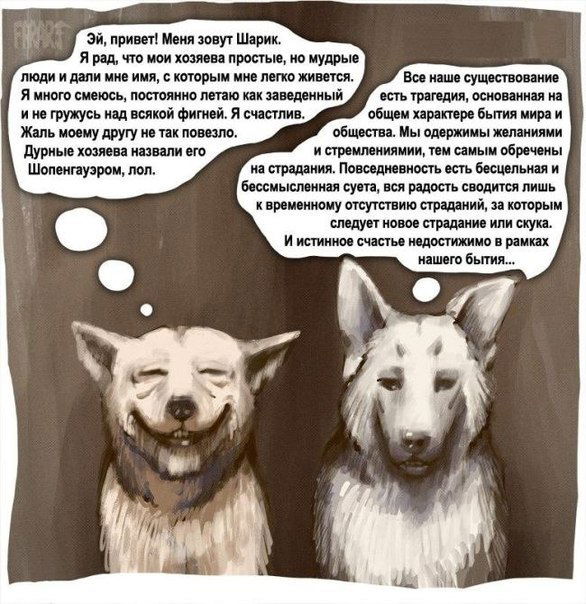 Дарья Кардаполова