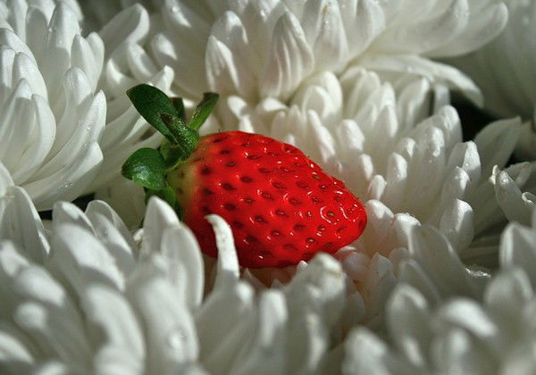 Фатима Соколова