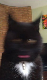 Евгений Плаксицкий