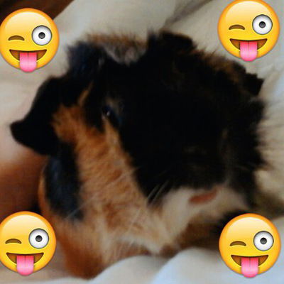 Лиза Куликовская