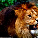 Владимир Кочетков