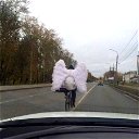 Дорожный Ангел