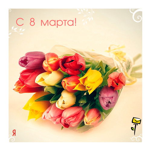 *** Ромашка ***