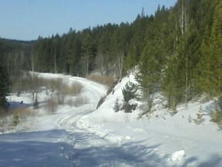 Роман Ильинов