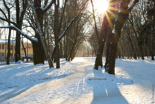 Митряков Олег