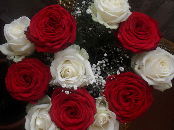 Ирина Владимировна Кокарева