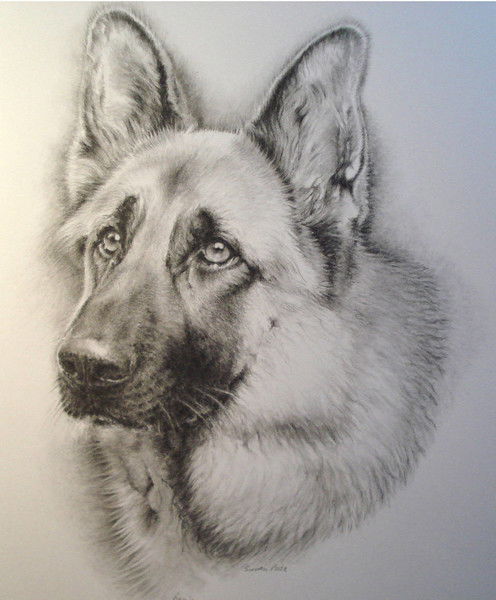 Анатолий Гаврилюк