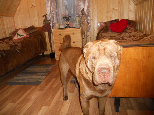 Александр Юртаев