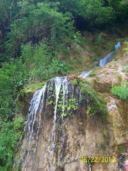 Елена Бочкарева