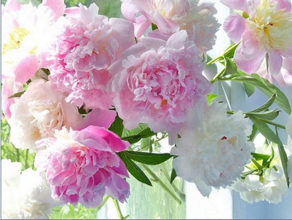 Неизвестно Неизвестно