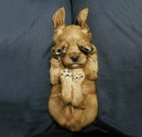 Олюшка Дударенок