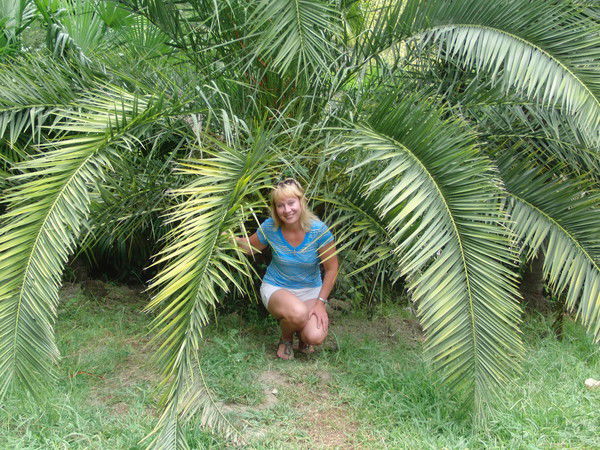 Елена Тапехина